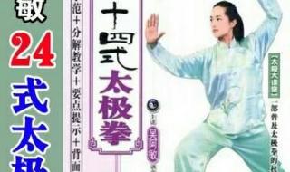 二十四式太极拳教学视频