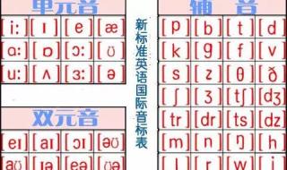 英语音标发音视频下载
