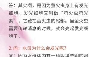 舟夜书所见古诗的意思