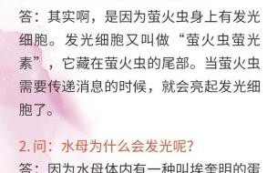 舟夜书所见古诗讲解 舟夜书所见古诗的意思
