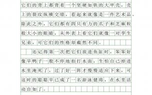 我的野生动物朋友各个动物的名字 我的动物朋友作文400字